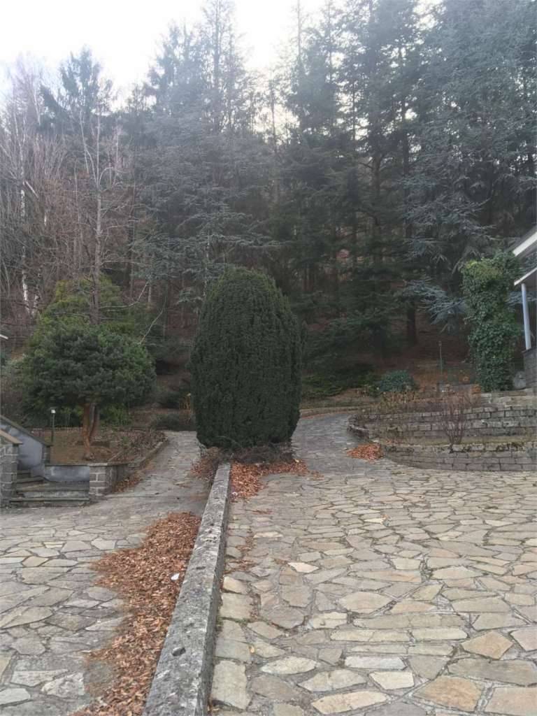  - foto 5