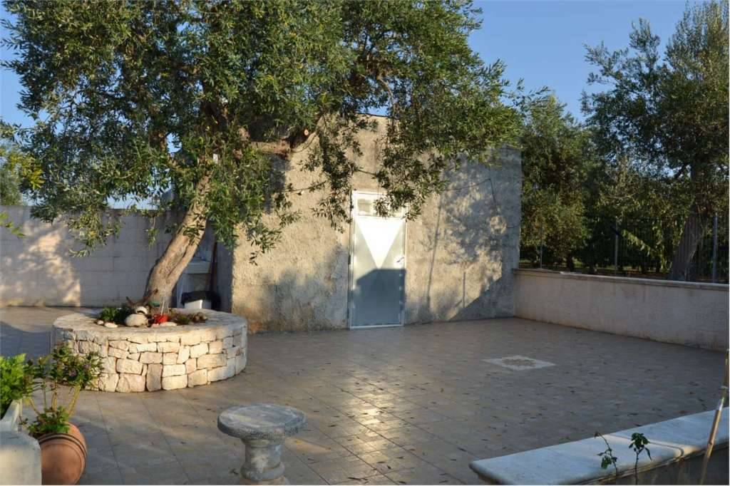  - foto 6