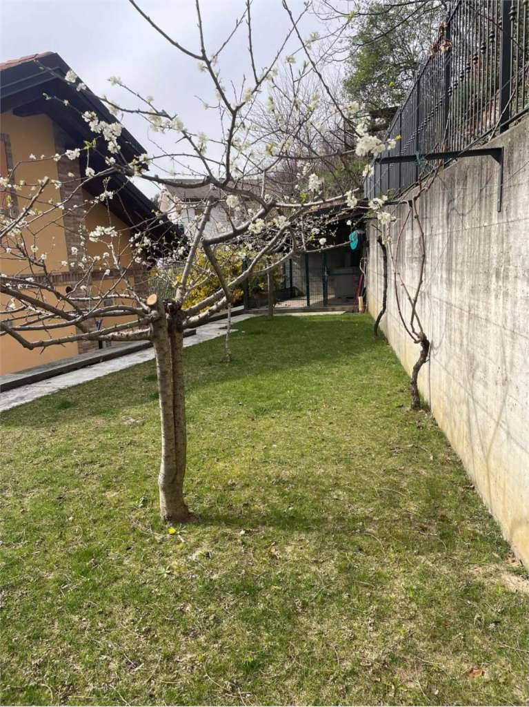  - foto 10