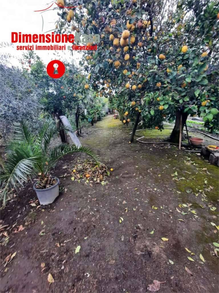 Terreno agricolo Via Capitolo, San Felice a Cancello