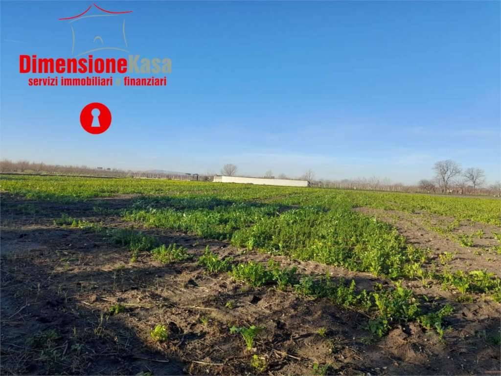 Terreno agricolo Via Duchessa di Marigliano, Nola