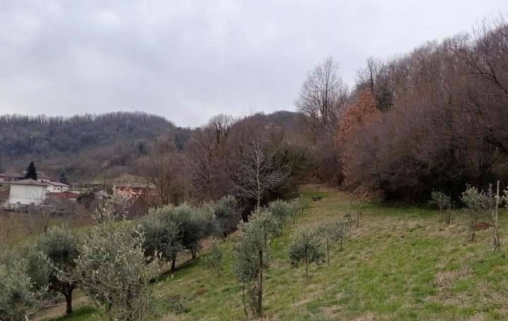  - foto 2