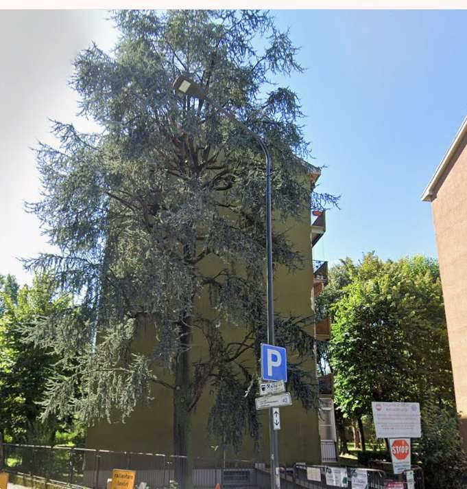  - foto 5
