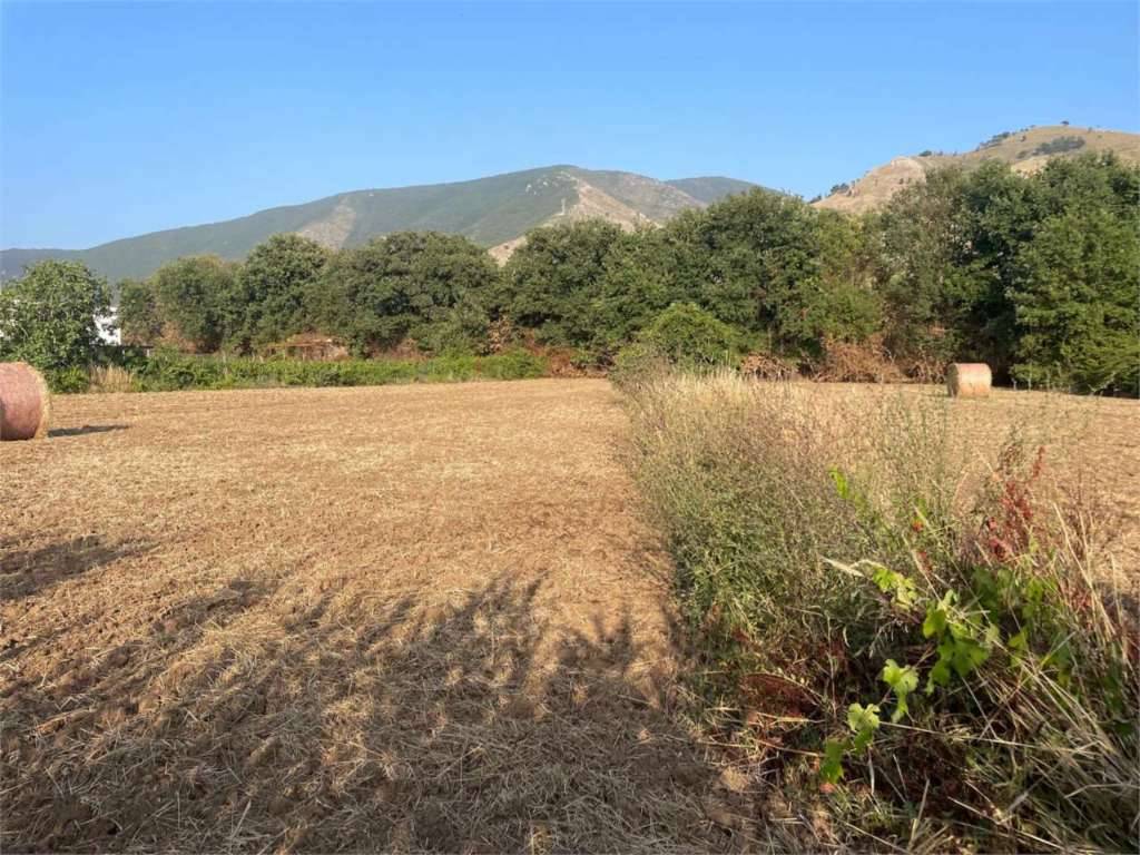 Terreno agricolo Piedimonte, Sessa Aurunca