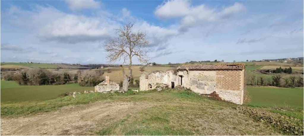 Rustico, Todi