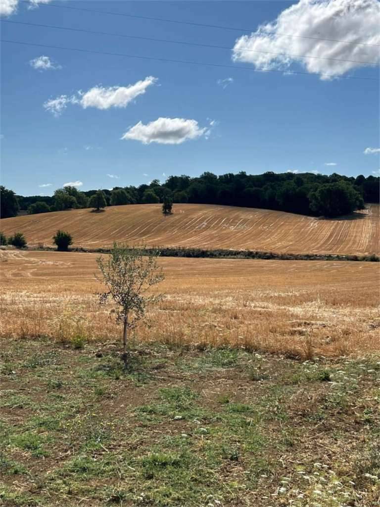 Terreno agricolo Strada Montelabate, Perugia