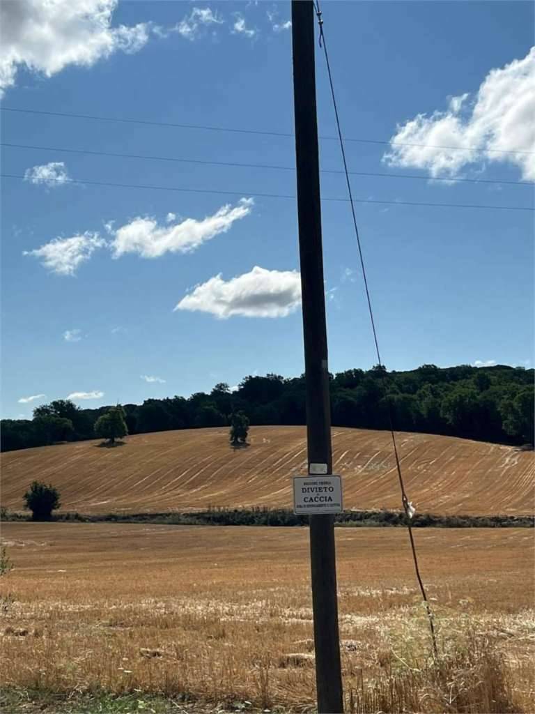  - foto 3