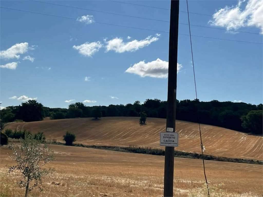 - foto 4