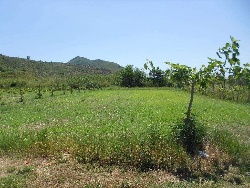  - foto 4