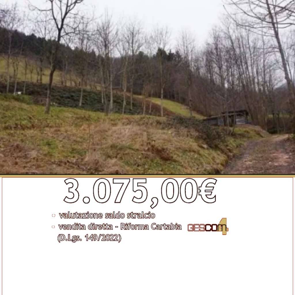 Terreno agricolo Via Gisbenti, Valli del Pasubio