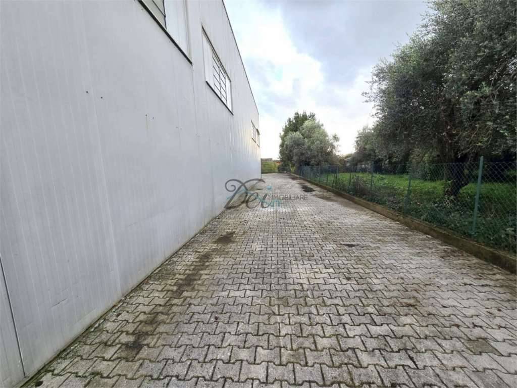 - foto 10