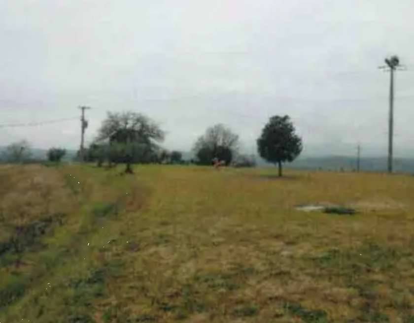  - foto 4
