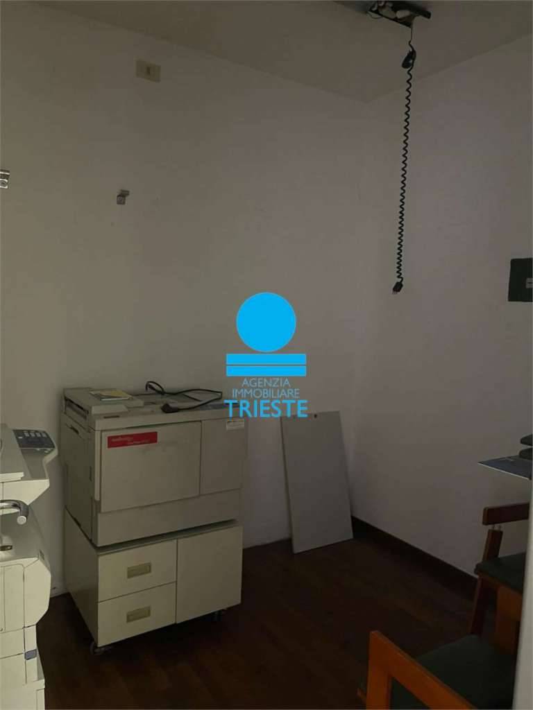  - foto 7