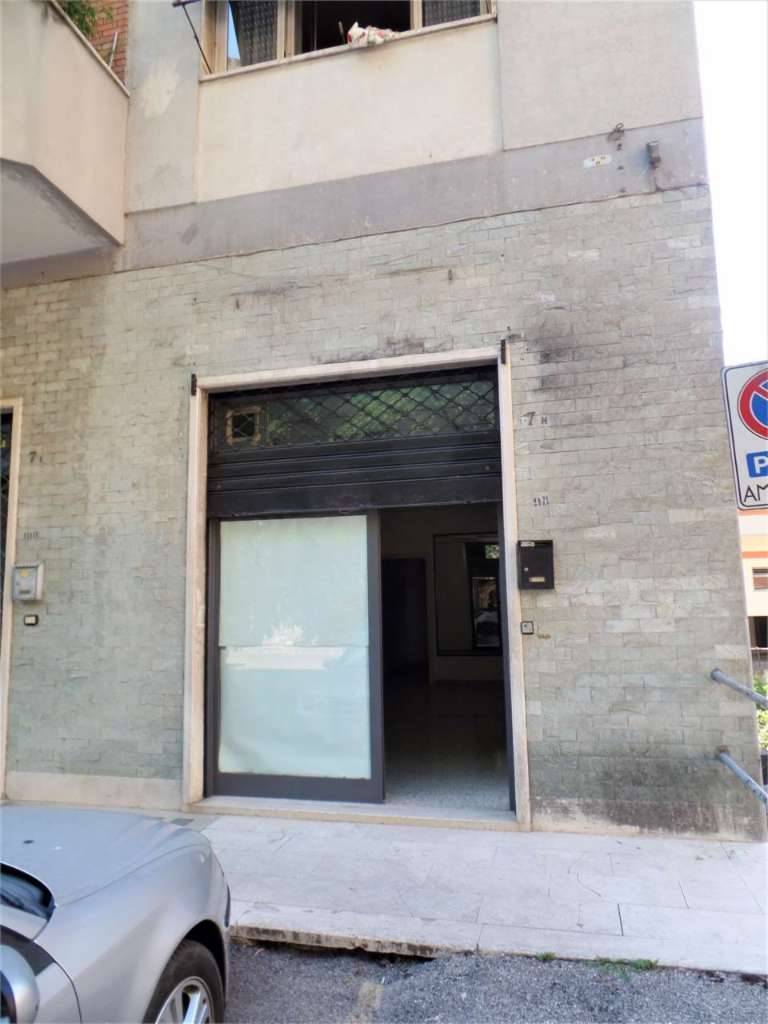  - foto 4