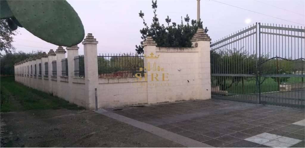  - foto 5
