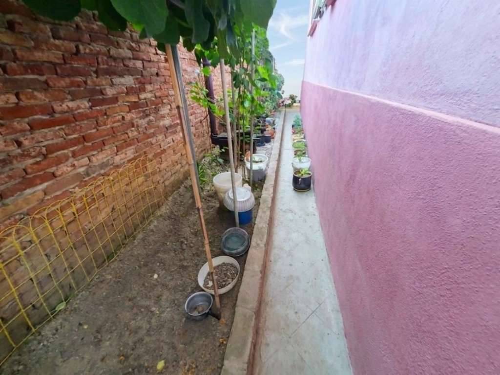  - foto 7