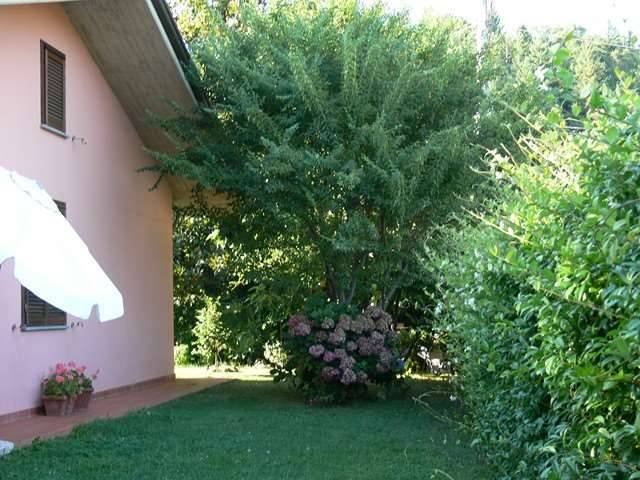  - foto 8