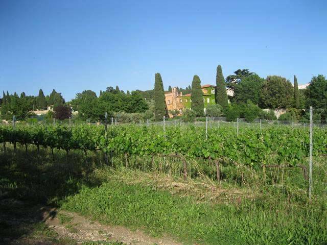 Terreno agricolo Via Anagnina, Grottaferrata