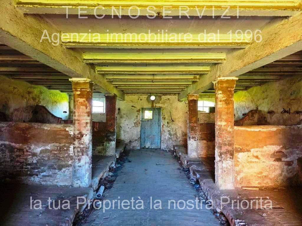  - foto 6