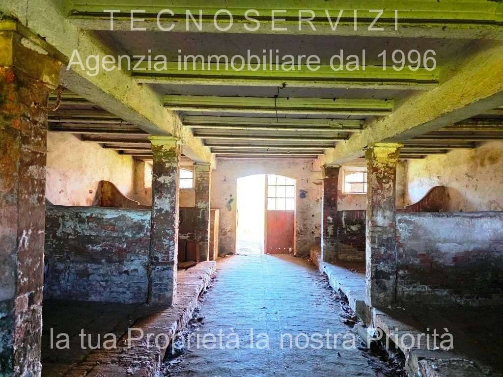  - foto 7