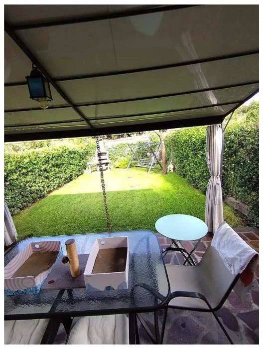  - foto 10
