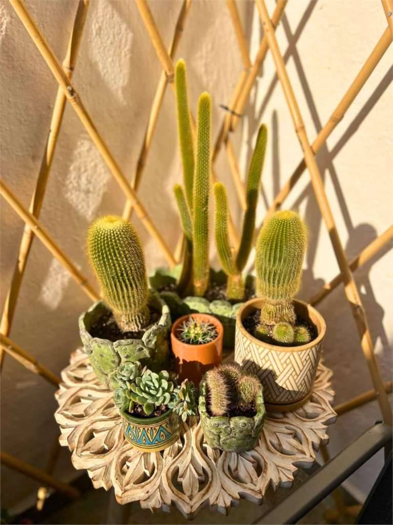  - foto 5