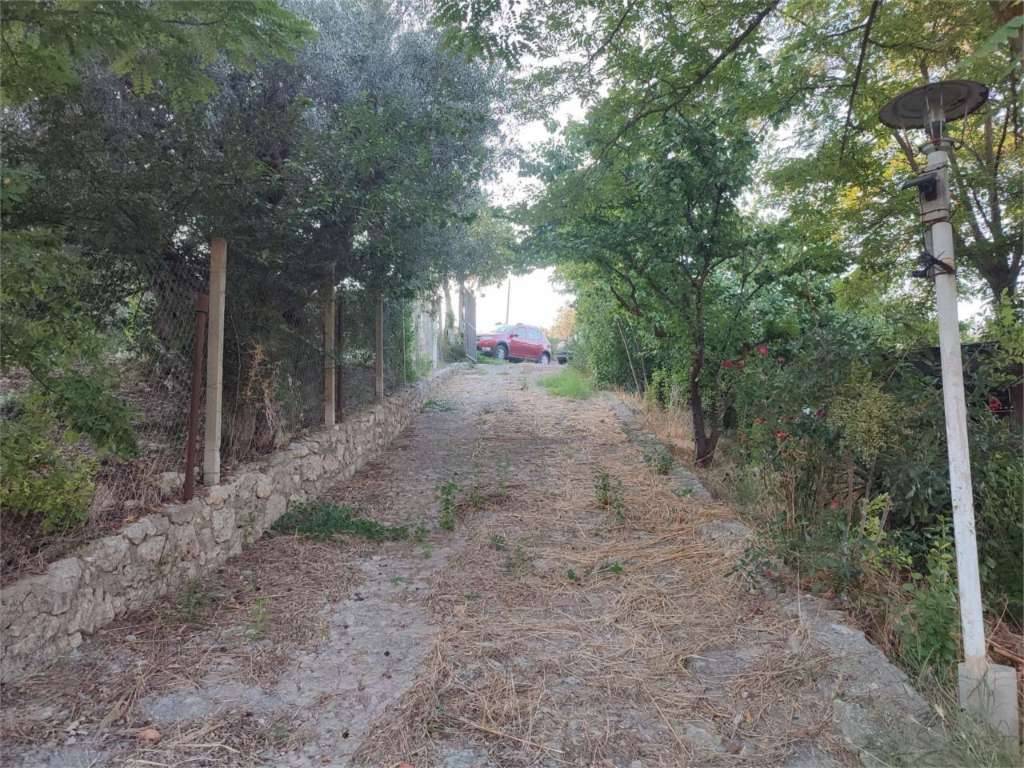 Terreno agricolo Via Onorevole Francesco Pignatone, San Cataldo