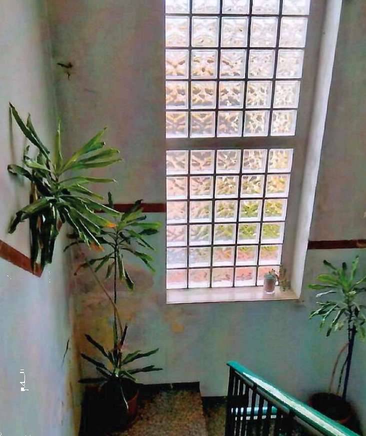  - foto 8