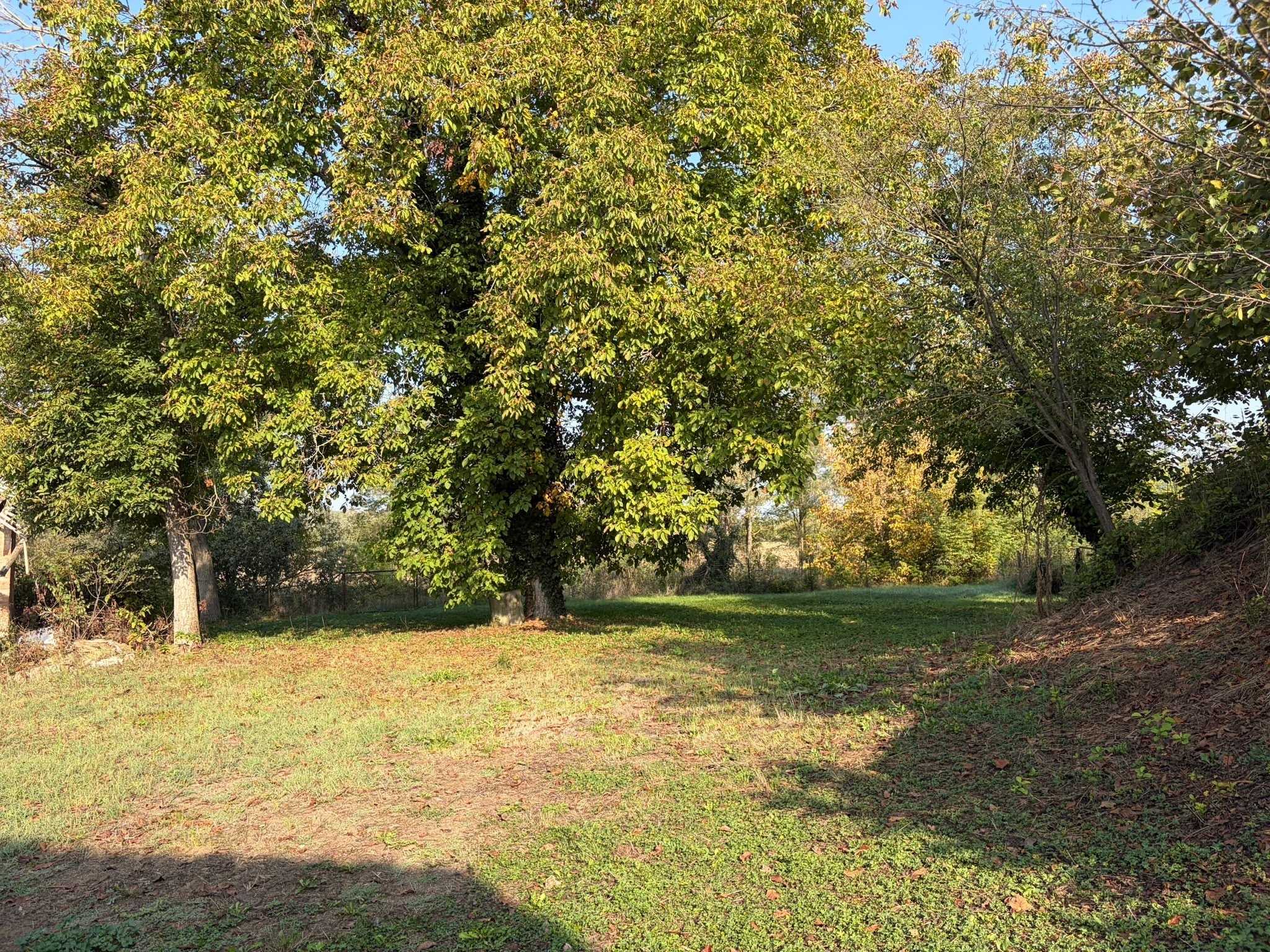  - foto 16