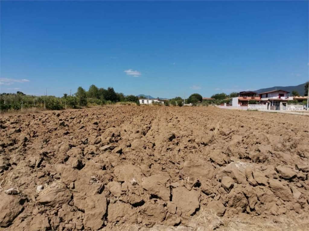 Terreno agricolo, Sessa Aurunca