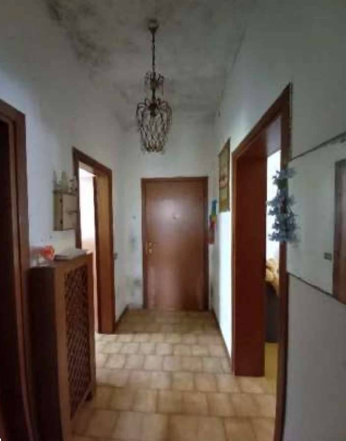  - foto 5