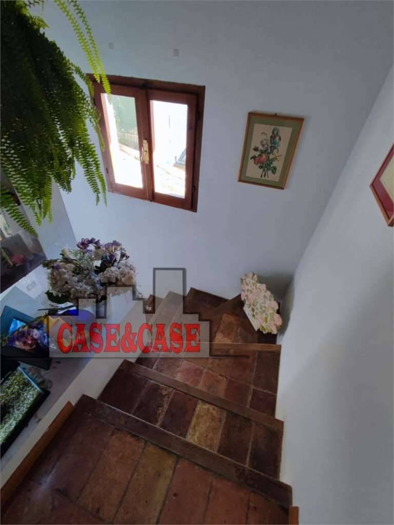  - foto 10