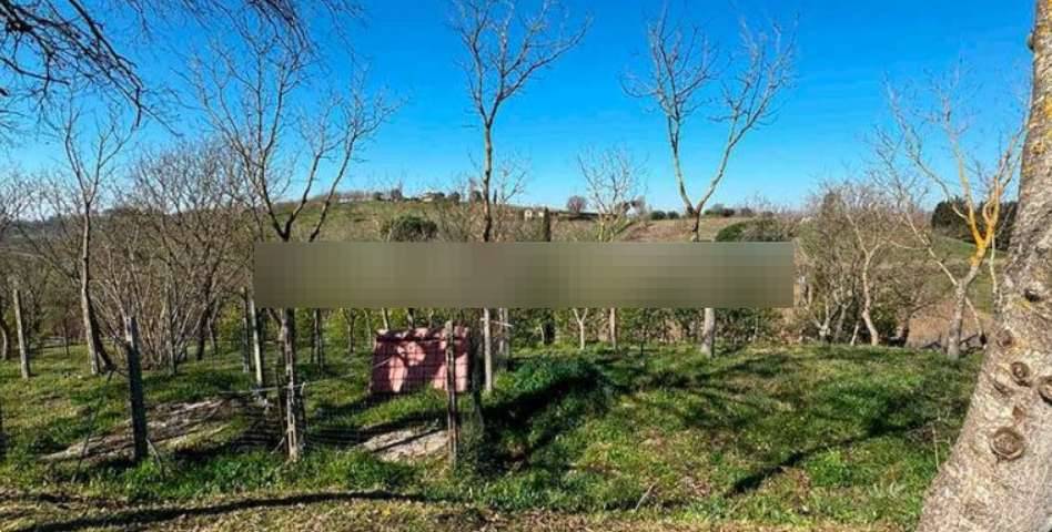  - foto 5