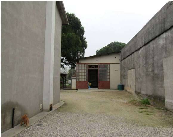  - foto 5