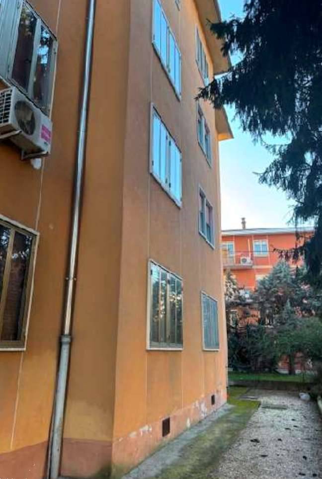  - foto 5