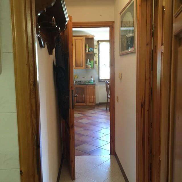  - foto 11
