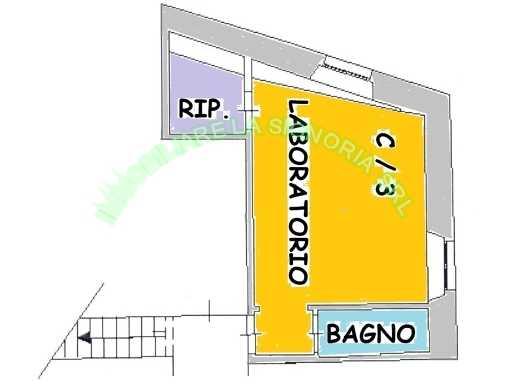 Ufficio PIAZZA VIEUSSEUX, Firenze