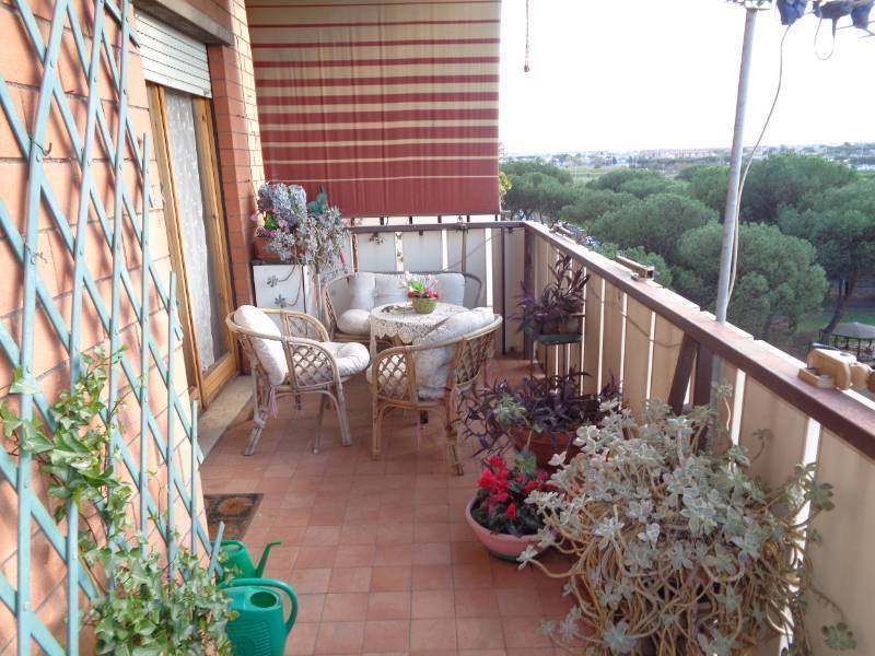  - foto 19