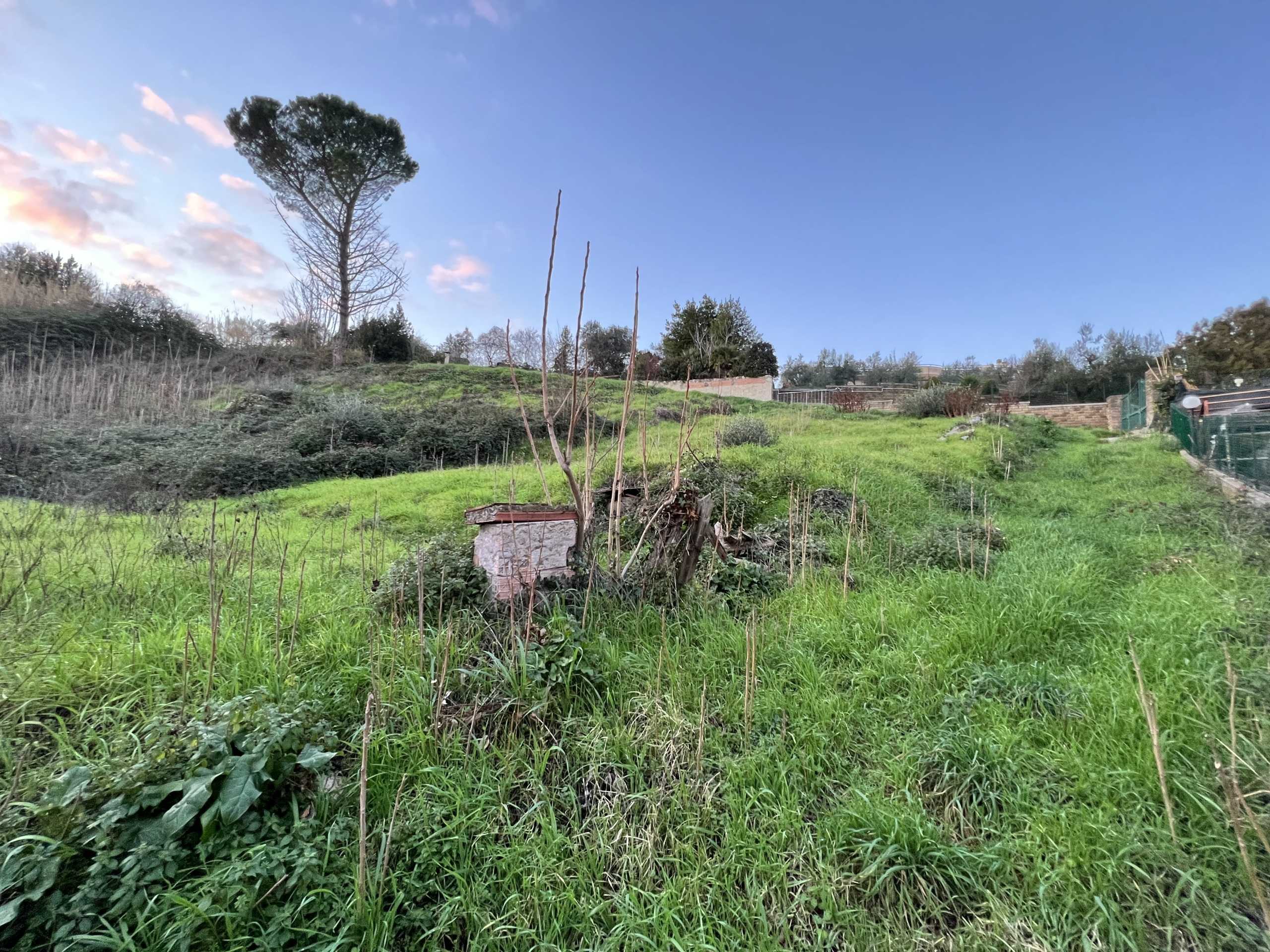 immagine annuncio 3 di 7