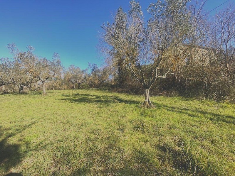  - foto 12