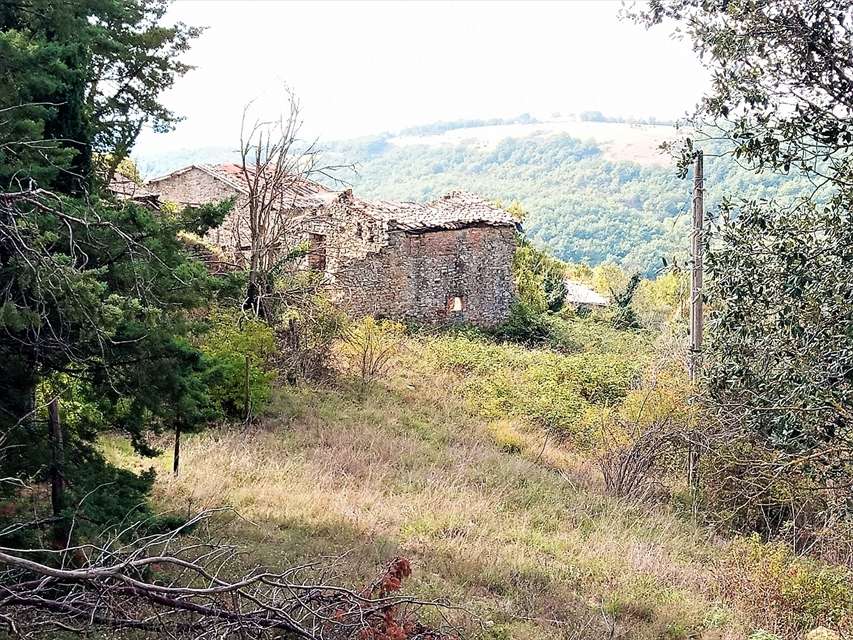 immagine annuncio 2 di 9