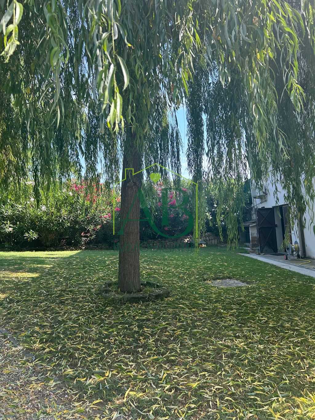 - foto 8