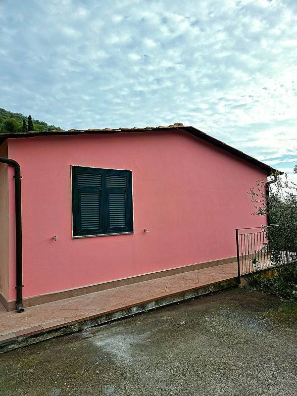  - foto 12