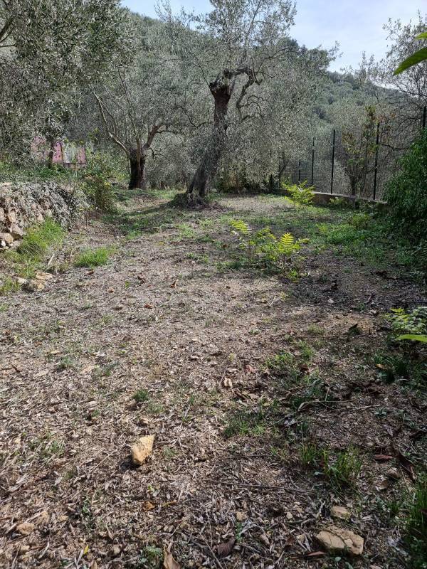  - foto 32