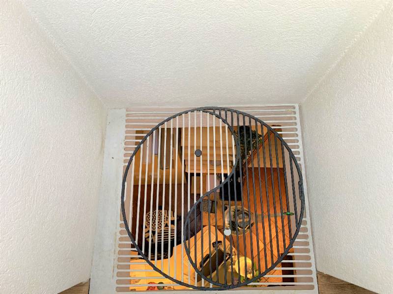  - foto 37