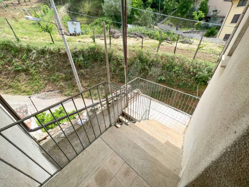  - foto 13