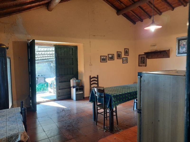  - foto 6
