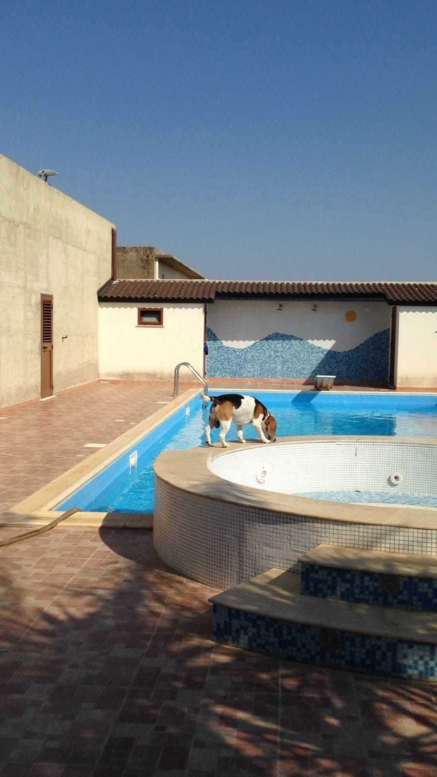  - foto 15