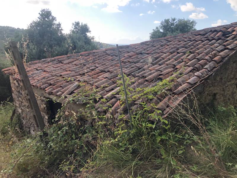  - foto 4