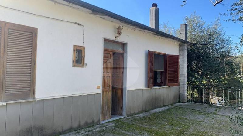  - foto 5